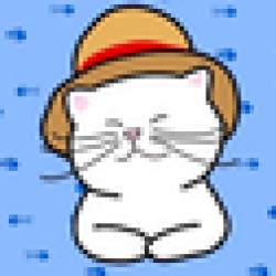 Shiro Neko CTO SHIRO