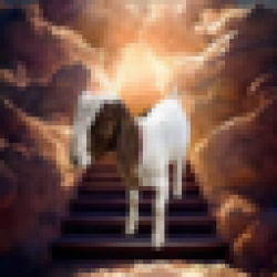 Cedar the Goat CEDAR