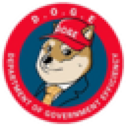 Department Of Government Efficiency DOGE