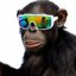 Toli The Trencher TOLI