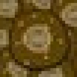 craptocurrency CRAPTO