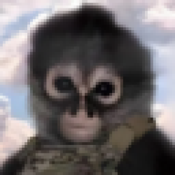 EL CHANGUITO CHANGO