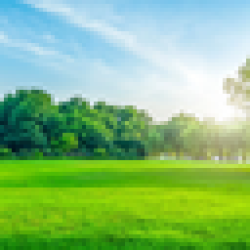 the greatest investment LAND