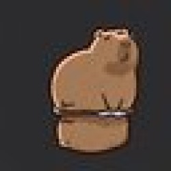 CAPPYBARA CAPPY