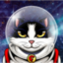 Felicette the Space Cat FELICETTE