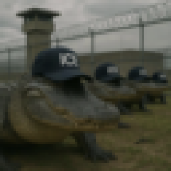 Alligator Alcatraz ICE