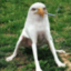 Smoking Eagle Dog SED