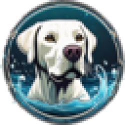 Splash Dog BUSTER