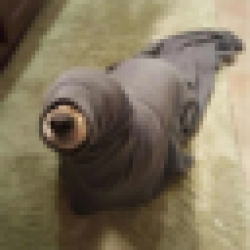 Seal Dog SOG