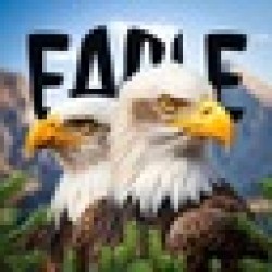 Big Bear Bald Eagle EAGLE