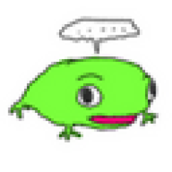 Jiwa Lucky Frog | 吉蛙 JIWA