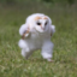 エッホエッホ FUKUROU