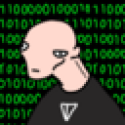 Bald World Order BALD