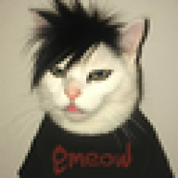 emeow EMEOW