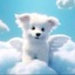Dove The Dog DOVE