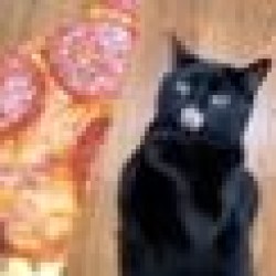 Pizza Cat PIZA