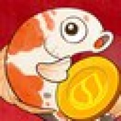 KOI KOI