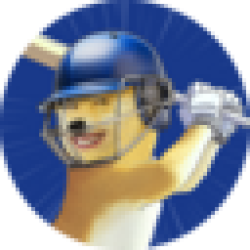 Indian Premier League Fan Token IPL