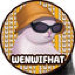 WenWifHat WHY