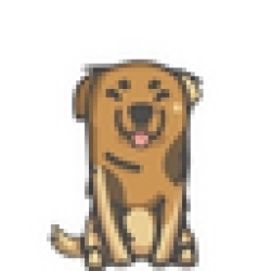 Sabaka Inu SABAKA INU