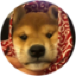 dogwifscarf WIFS