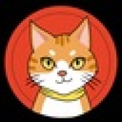 Catcoin BSC CAT