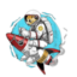 Doge-1 Mission to the moon DOGE-1