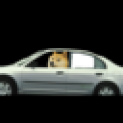 A Gently Used 2001 Honda USEDCAR