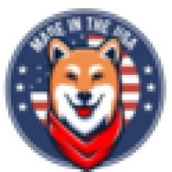 American Shiba USHIBA