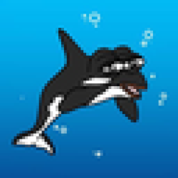 Tilly The Killer Whale TILLY