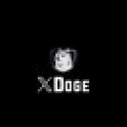 XDOGE XDOGE