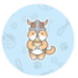 Baby Floki Inu BFLOKI