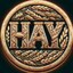 HayCoin HAY