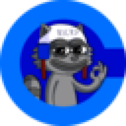 Ricky The Raccoon RICKY