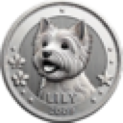 Lily's Coin LILY