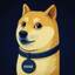 Doge Grok Companion DOGE